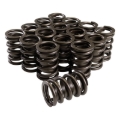 Picture of SET, SINGLE SPRING W/ DAMPER, 1.486 OD, 1.850 IH, .650 LIFT, 410 LBS/IN, HR