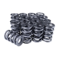Picture of SET, DUAL SPRING, 1.546 OD, 1.950 IH, .800 LIFT, 638 LBS/IN, SUPERFINISH, SR