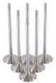 Picture of GSC P-D Toyota G16E-GTS 32mm Head (STD) Chrome Polished Exhaust Valve - Set of 6