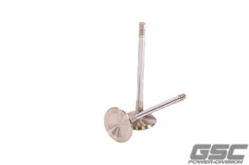 Picture of GSC P-D Audi DAZA 33.9mm Head STD 104mm Long Chrome Polished Intake Valve - Single