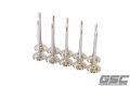 Picture of GSC P-D Audi DAZA 33.9mm Head STD 104mm Long Chrome Polished Intake Valve - Set of 10