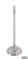 Picture of GSC P-D Ford Voodoo/Predator 38.26mm Head (STD) 121.13mm Long Chrome Polished Intake Valve - Single