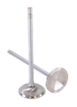 Picture of GSC P-D Toyota G16E-GTS 32.8mm Head (STD) 113.7mm Long Chrome Polished Intake Valve - Single