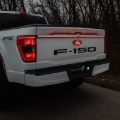 Picture of Putco 21-23 Ford F150 (w/OE LED Taillights & OBS/Tow Tech) Excalibur LED Third Taillight