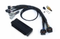 Picture of Haltech NEXUS S2/S3 Plug-n-Play Adapter Harness