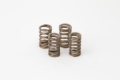Picture of Hot Cams Valve Spring Kit, Boxed, ea, 1
