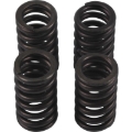 Picture of Hot Cams Valve Spring Kit, ea, 1