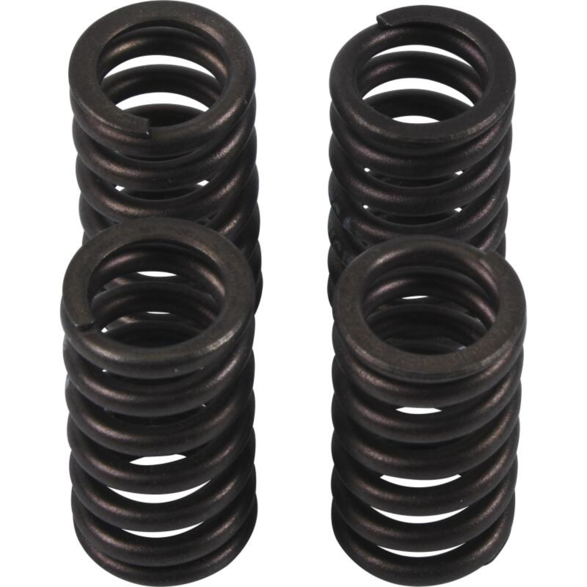 Picture of Hot Cams Valve Spring Kit, ea, 1