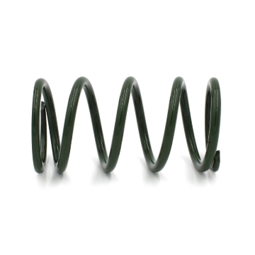 Picture of EPI 24+ Polaris RZR XP/4 / Xpedition XP/ADV Secondary Clutch Spring Green