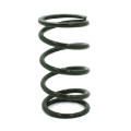Picture of EPI 24+ Polaris RZR XP/4 / Xpedition XP/ADV Secondary Clutch Spring Green