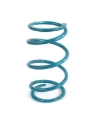 Picture of EPI 16-22 Polaris RZR XP Turbo/S/4/ RZR RS1 Secondary Spring Teal