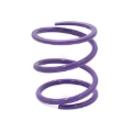 Picture of EPI 24+ Polaris RZR XP 1000/ Xpedition XP/ADV Primary Clutch Spring Purple