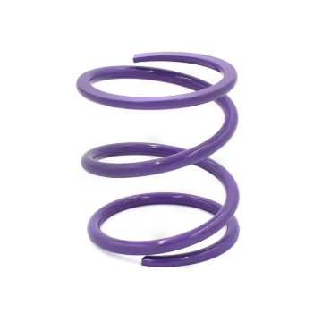 Picture of EPI 24+ Polaris RZR XP 1000/ Xpedition XP/ADV Primary Clutch Spring Purple