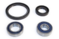 Picture of EPI 93-99 Yamaha 400 Kodiak Wheel Bearing Kit