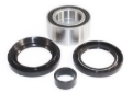 Picture of EPI 95-05 Honda TRX400-650 Wheel Bearing Kit