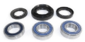 Picture of EPI 00-07 Honda TRX 350-500 Rancher Rear Wheel Bearing Kit