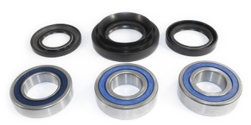 Picture of EPI 00-07 Honda TRX 350-500 Rancher Rear Wheel Bearing Kit