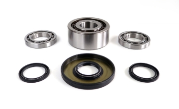 Picture of EPI 11-20 325-1000 Ace/Ranger/General/RZR Front Differential Bearing and Seal Kit