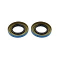 Picture of EPI 18-19 Can-Am Maverick X3/Turbo R Differential Bearing/Seal Kit