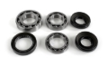 Picture of EPI 16-21 Honda 1000 Pioneer/5 Differential Bearing/Seal Kit