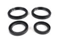 Picture of EPI 04-11 Arctic Cat 250-500 Differential Seal Kit