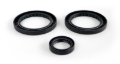 Picture of EPI 99-04 Polaris 300-650 Magnum/Sportsman Differential Seal Kit