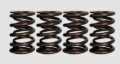Picture of Ferrea 84-98 Harley-Davidson Evolution 1.005/1.530 OD .730/1.110in ID Dual Valve Springs - Set of 4