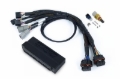 Picture of Haltech NEXUS S2/S3 Plug-n-Play Adapter Harness