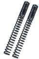 Picture of Bitubo MFORK Fork Springs Kit Progressive + 1 Lt. Oil