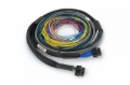 Picture of Haltech NEXUS S2/S3 Universal Wire-In Harness Kit - 2.5M (8ft)