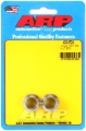 Picture of ARP 1/2-20 SS 12pt nut kit