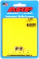 Picture of ARP 1/4-20 SS 12pt nut kit