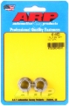Picture of ARP 1/2-13 SS 12pt nut kit