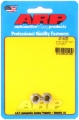 Picture of ARP 5/16-18 SS 12pt nut kit