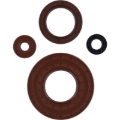 Picture of Vertex Pistons 23-24 Commander 700 DPS/Commander 700 XT Engine Oil Seal Kit