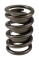 Picture of SINGLE SPRING W/ DAMPER, 1.440 OD, 1.750 IH, .600 LIFT, 350 LBS/IN, FT/HR