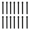 Picture of Fel-Pro BMW 325i ES 72943 Engine Cylinder Head Bolt Set