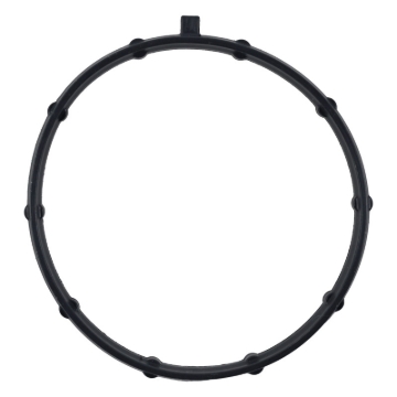 Picture of Fel-Pro Ford Expedition 73369 Vacuum Pump Gasket