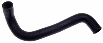 Picture of Gates 75-78 Nissan 280Z 6-Cyl. 168 Lower Molded Coolant Hose