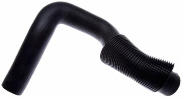 Picture of Gates 91-94 Ford Ranger V-6 4.0L Lower Molded Coolant Hose