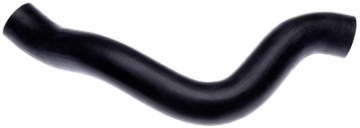 Picture of Gates 2004 Dodge Dakota V-6 3.7L Lower Molded Coolant Hose