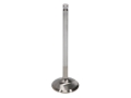 Picture of Extr. Dty. BBC Ex. Vlv Kit - 1.940 in. Head Dia.,5.522 in. O/A ,.3415 in. Stem