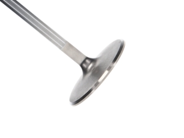Picture of Severe Dty. BBC Int. Vlv Kit - 2.300 in. Head Dia.,5.244 in. O/A ,.3110 in. Stem