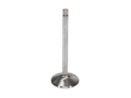Picture of Race  Ford 429 Ex. Vlv Kit - 1.880 in. Head Dia.,5.170 in. O/A ,.3415 in. Stem