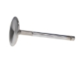 Picture of Race  Ford 289 Int. Vlv Kit - 1.850 in. Head Dia.,5.075 in. O/A ,.3420 in. Stem
