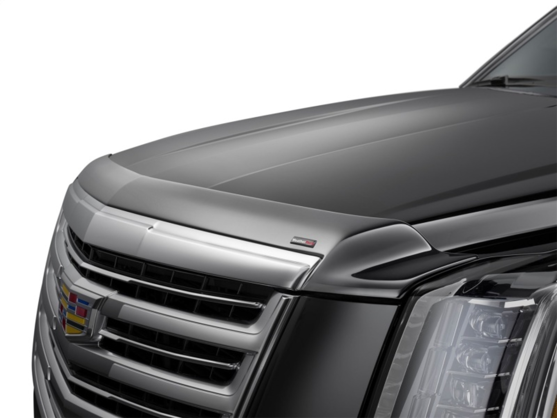 Picture of WeatherTech 24-25 Toyota Tacoma Hood Protector - Black