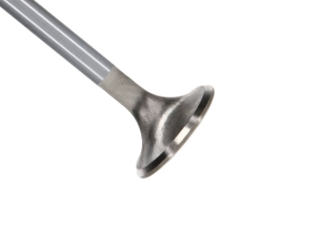 Picture of Manley Ford Modular Coyote 5.0L Gen III Race Master Series Intake Valve - 1.485in Dia