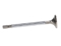 Picture of Manley Ford GT350 Voodoo 5.2L Race Master Series Intake Valve Set - 1.508in
