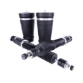 Picture of Air Lift Performance 2005-2014 Ford Mustang (S197) Rear Kit (3/8 Fittings Not Included)