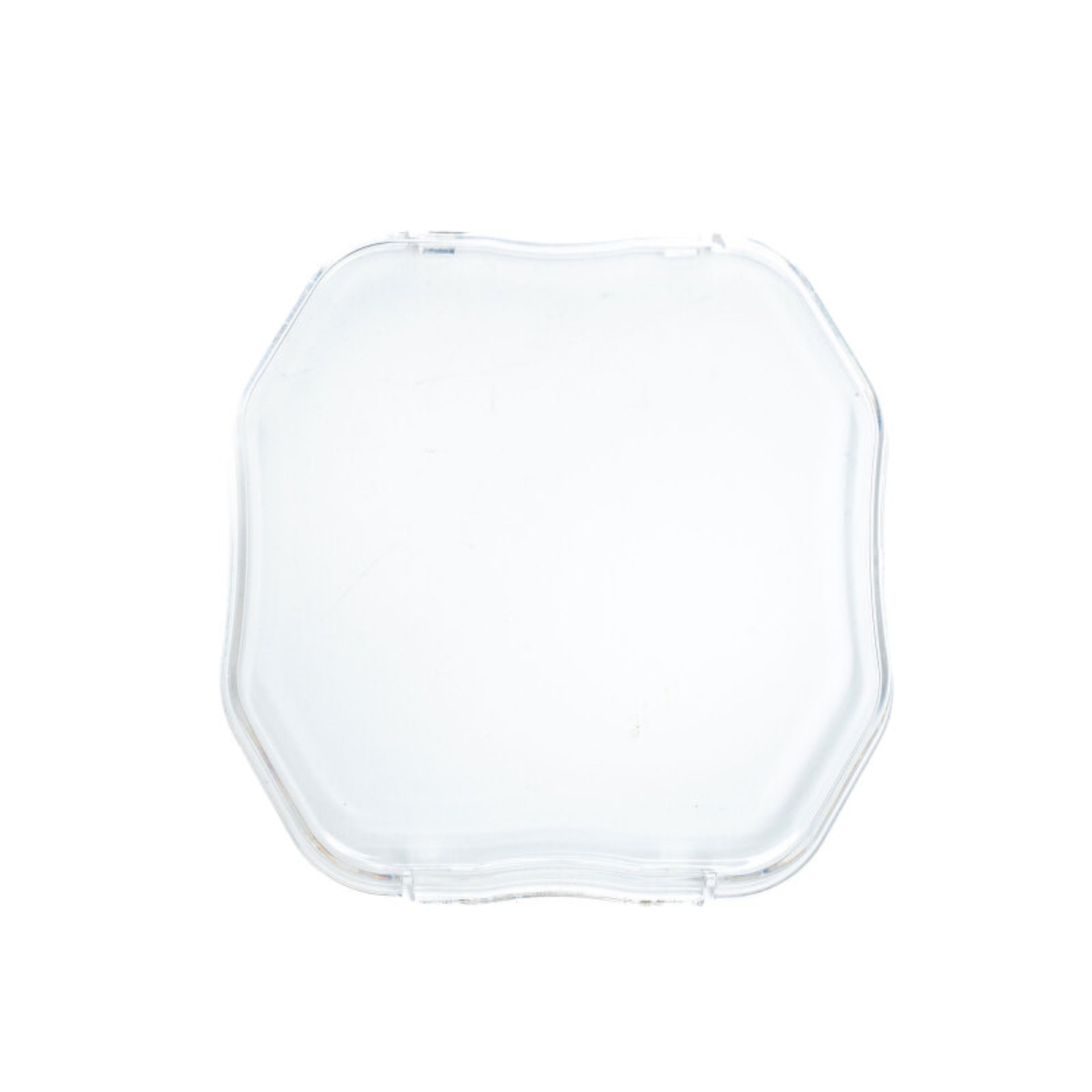 Picture of Baja Designs Squadron 2.0 Rock Guard (Single) - Clear